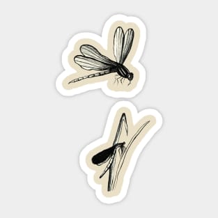 Insects Sticker